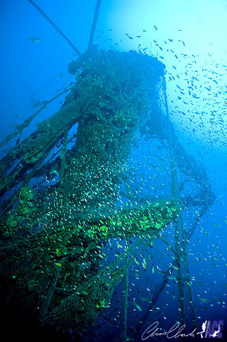 Gulf of Thailand Near Cambodian Border akela Gulf of Thailand Near Cambodian Border akela