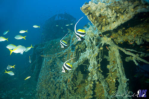 Gulf of Thailand Near Cambodian Border akela Gulf of Thailand Near Cambodian Border akela