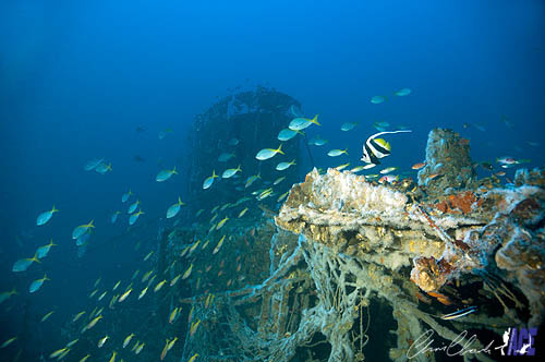 Gulf of Thailand Near Cambodian Border akela Gulf of Thailand Near Cambodian Border akela