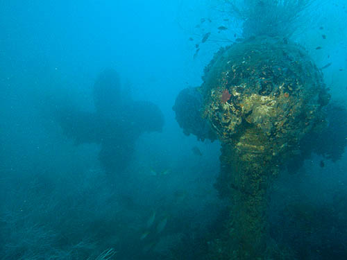 The Seacrest Drill Ship a.k.a 'The Scan Queen' The Seacrest Drill Ship a.k.a 'The Scan Queen'