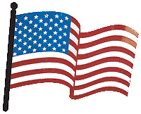 usa flag