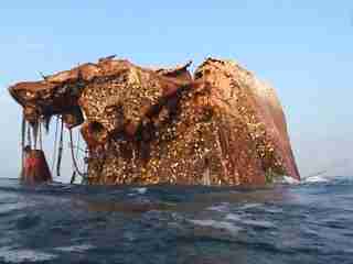 the vertical wreck floats away toward cambodia. unique dives under the stirn of the vessel at 50meters looking up the entire length of the hull. the vertical wreck floats away toward cambodia. unique dives under the stirn of the vessel at 50meters looking up the entire length of the hull.